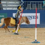 2022-10 - Equita Lyon - Pony games - 093